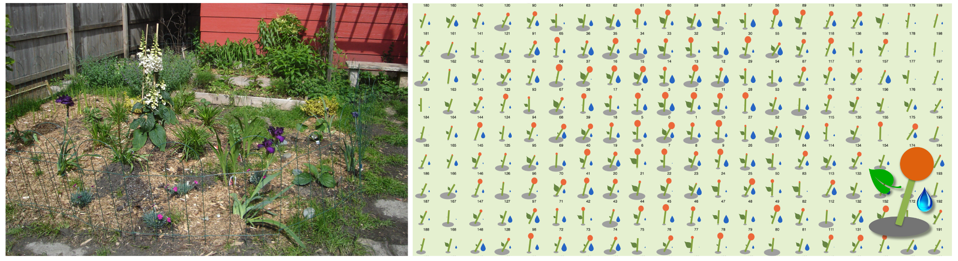 /archive-2022-2023/Garden