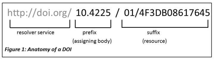 /archive-2022-2023/Anatomy%20of%20a%20DOI
